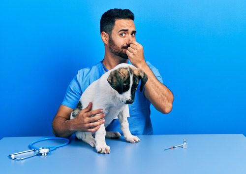 male vet holding his nose near puppy with bad breath