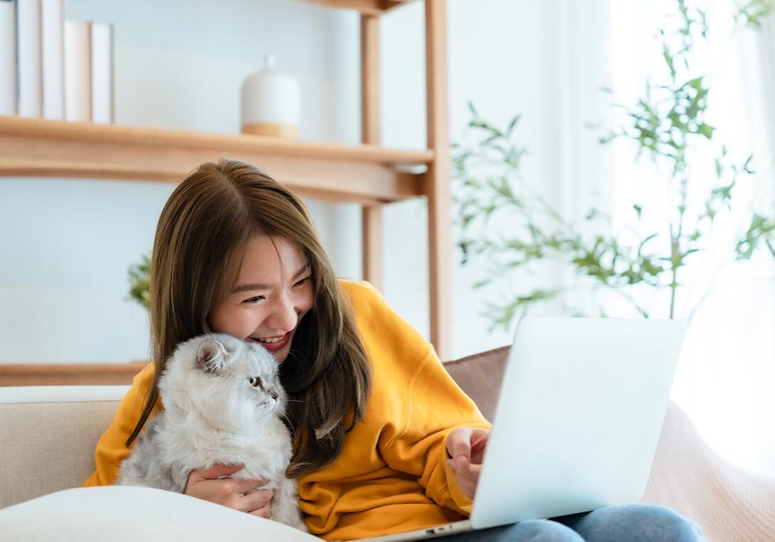 happy woman sitting on couch holding white fluffy cat and pointing at laptop screen