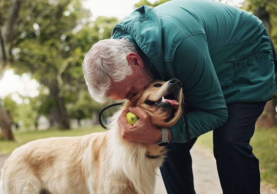 Man Kissing Dog older man giving his dog a kiss while holding a tennis ball