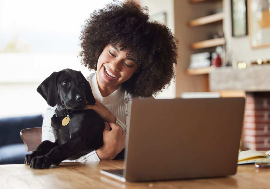 Woman And Dog With Laptop